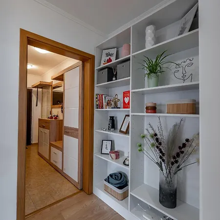 Palarikova Old App *