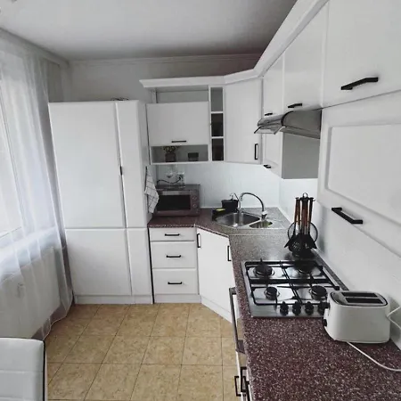 Palarikova Old App Apartment *