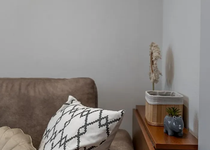 Apartment Palarikova Old App *