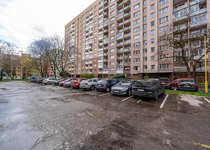 Palarikova Old App Apartment