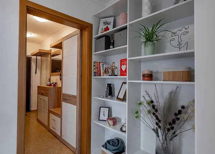 Palarikova Old App *