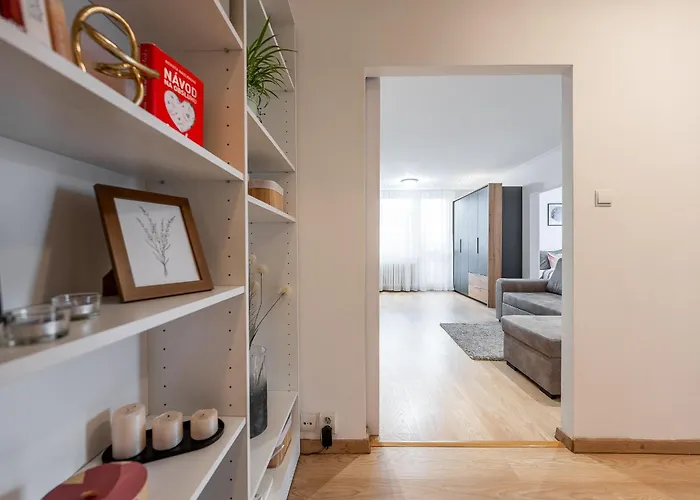 Palarikova Old App Apartment *