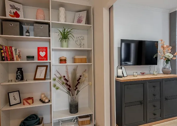 Apartment Palarikova Old App