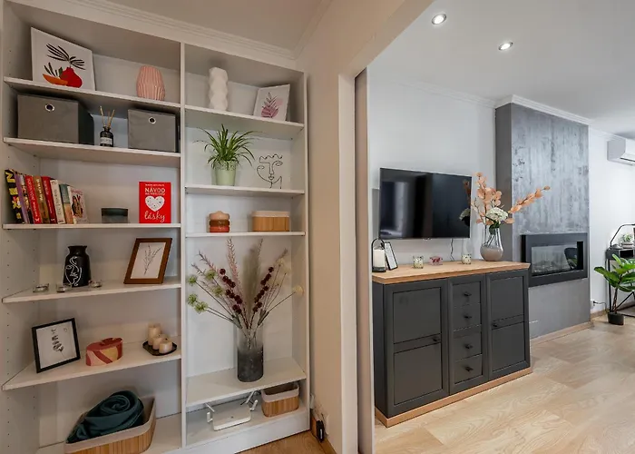 Palarikova Old App *