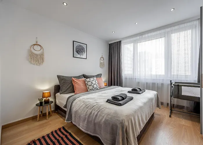 Apartment Palarikova Old App *