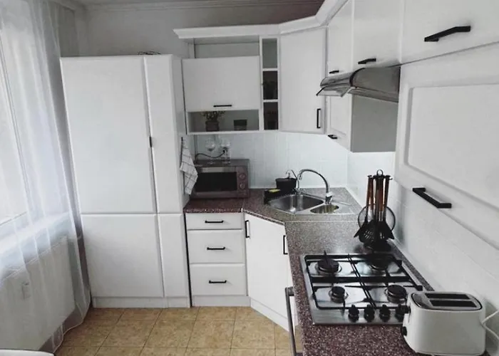 Palarikova Old App Apartment *