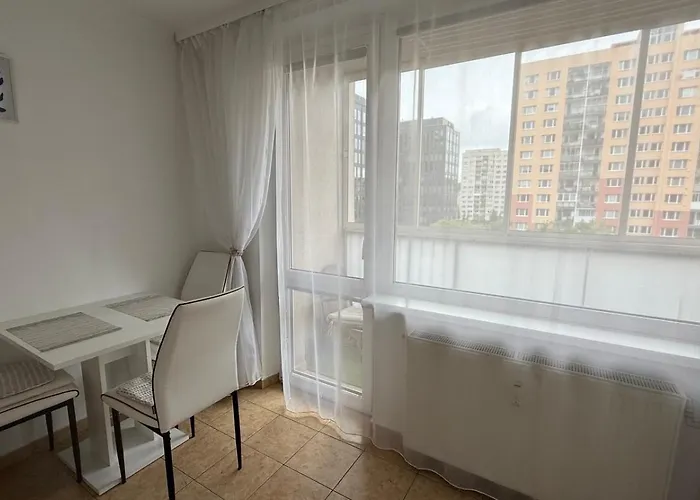 Palarikova Old App *