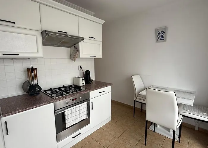 Apartment Palarikova Old App